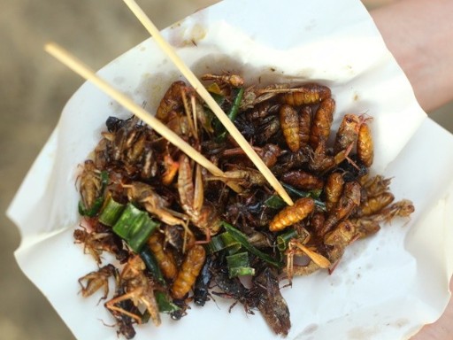 china food image 1 1679583993