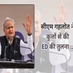 cm gehlot compared ed to dogs rajasthan election 653b905939689 1698402438