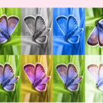 google synthid image detection tool 1693462099