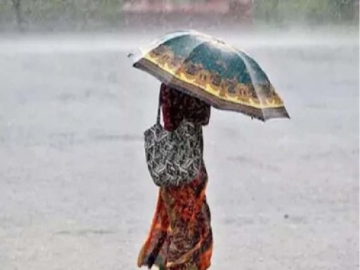 monsoon 1688705970