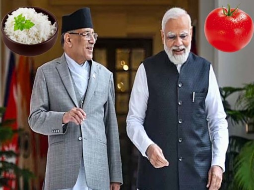 nepal india export 1691748887