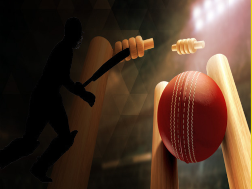 rajasthan premier league 1693372856