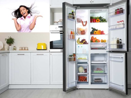 refrigrators in india 1678879261