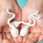 sperm buying 1692614293