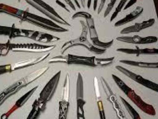 srinagar sharp weapon ban 1690020601