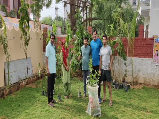 tree plantation and tree distribution 1693544091