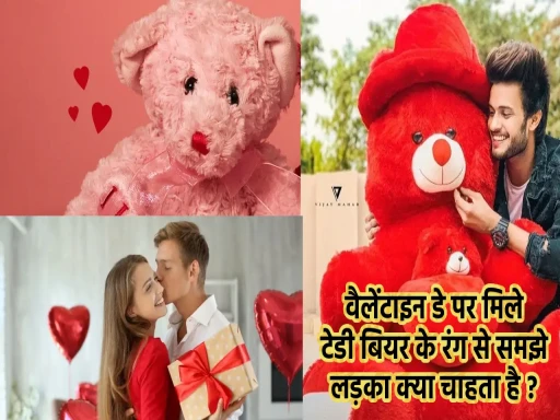 valentine day teddy bear 1706344969