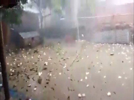 yellow alert in rajasthan 1679039381