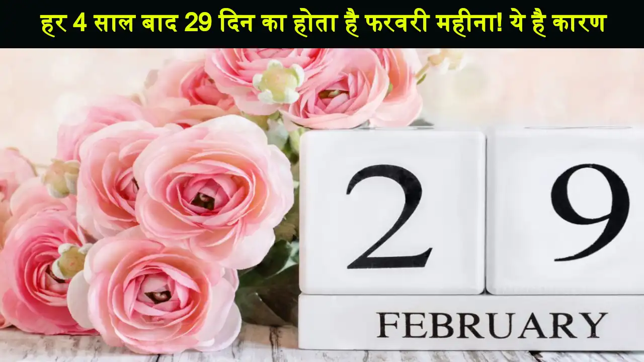 29 February Leap Day