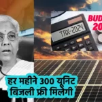 Budget 2024 300 unit free electricity