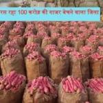 Sri Ganganagar Sadhuwali Gajar Mandi Demand