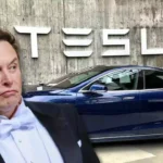 Tesla Vs Tesla, Elon Musk, Elon Musk property, world news, tesla chicken, elon musk vs tesla chicken,