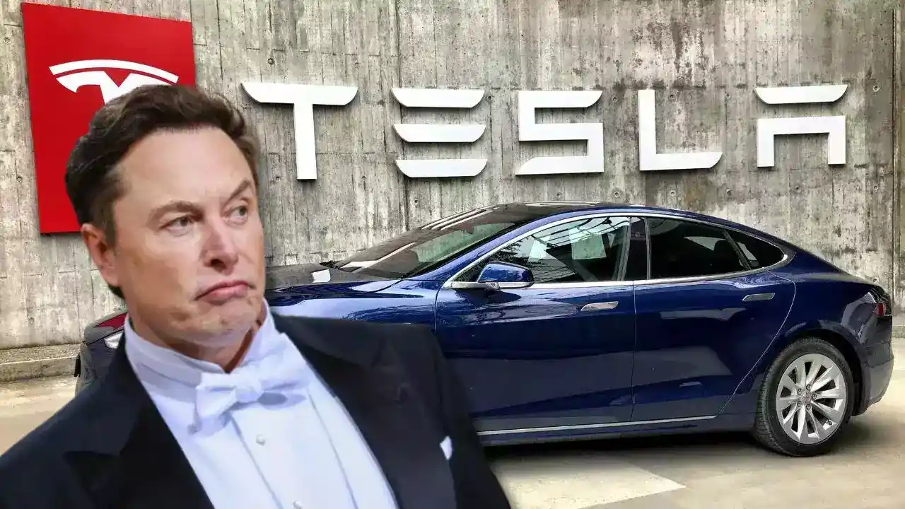 Tesla Vs Tesla, Elon Musk, Elon Musk property, world news, tesla chicken, elon musk vs tesla chicken,