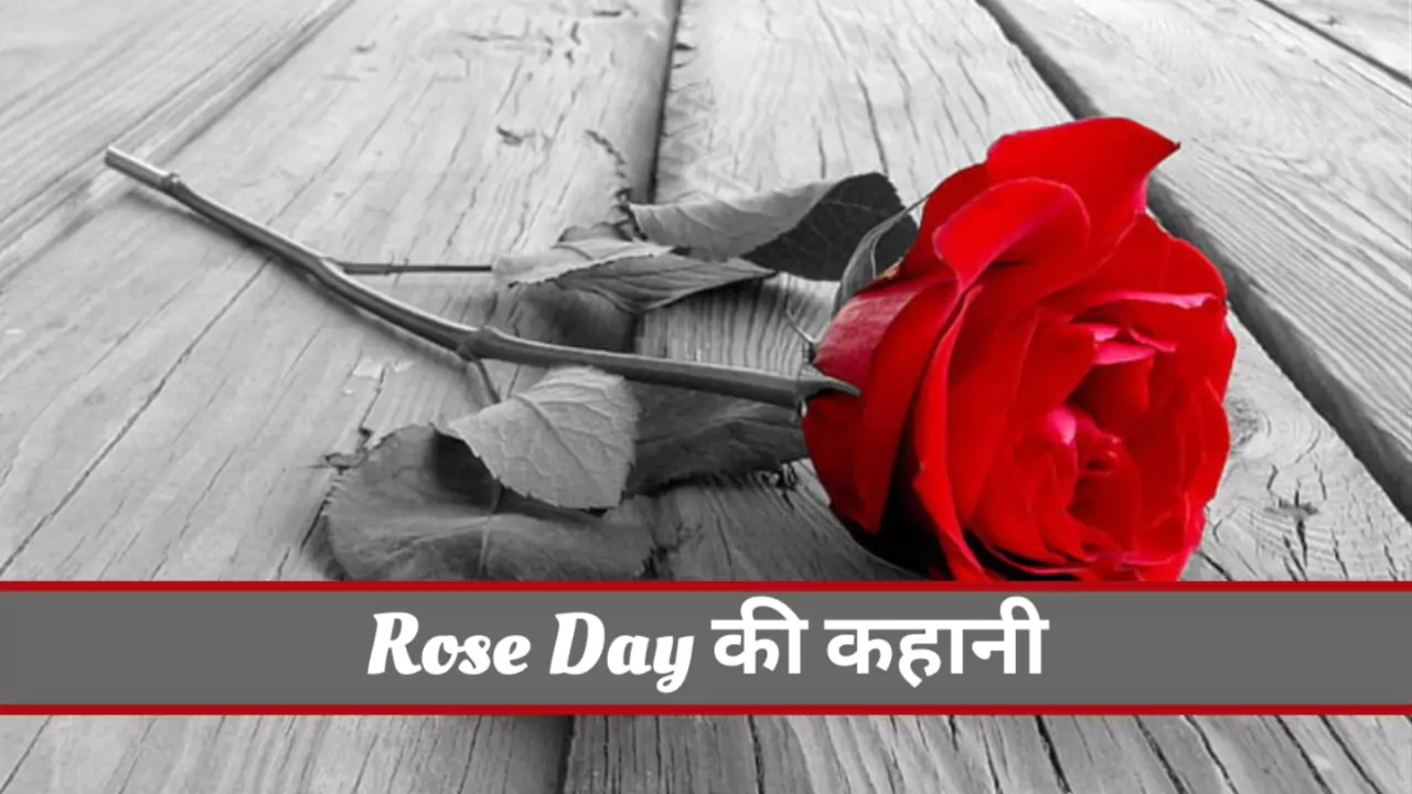 Valentine Rose Day History