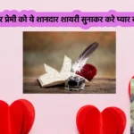 Valentine’s Day Shayari