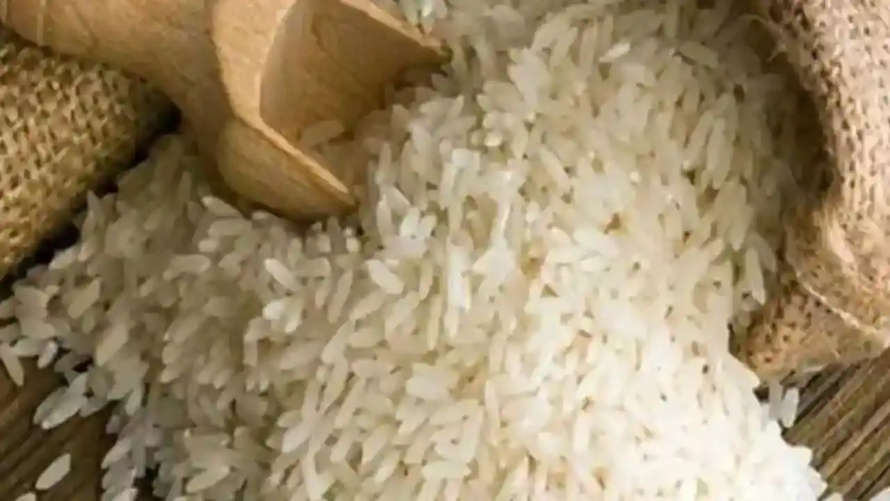 bharat rice in jaipur