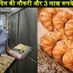 Latest Job with 3 lakh rupees salary in BTC