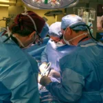 Pig Kidney Transplants In Human