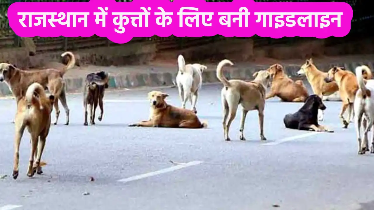 Rajasthan Dog Guidelines 2024