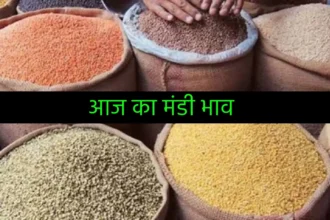 aaj ka mandi bhav