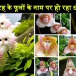 Cats Eye Dazzle AI Fake Flowers