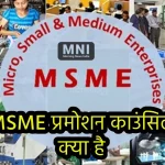 MSME Promotion Council