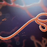 Ebola Virus, China news, science news, world news, interesting facts in hindi,