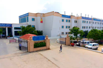 Narayana 1
