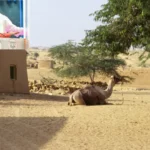 New Cooperative Act 2025 Rajasthan