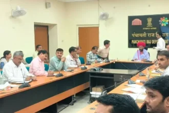 Rajasthan Vilayati Babool removal news